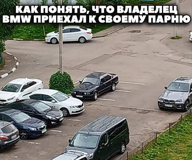 Смешные и познавательные картинки
