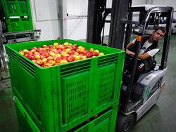 Евросоюз выделил 125 миллионов евро на поддержку фермеров