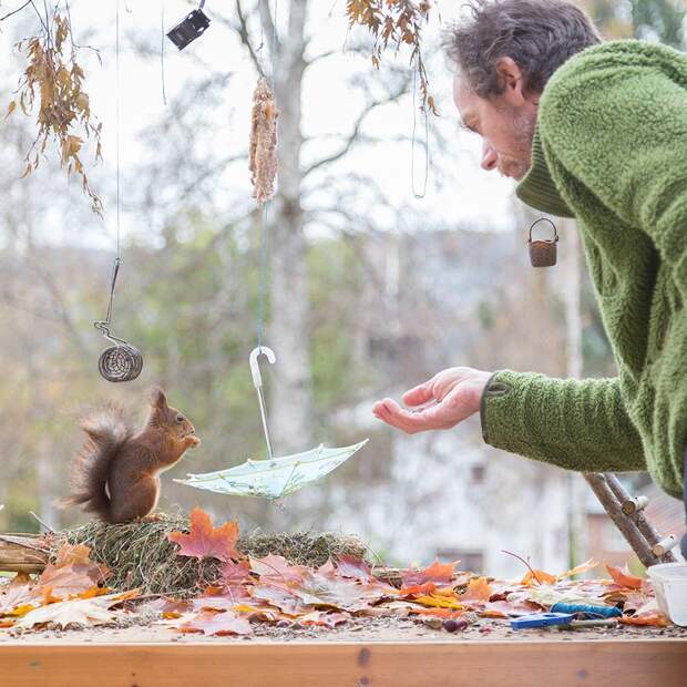 Шведский фотограф 6 лет преследует белок и собирает самые редкие кадры