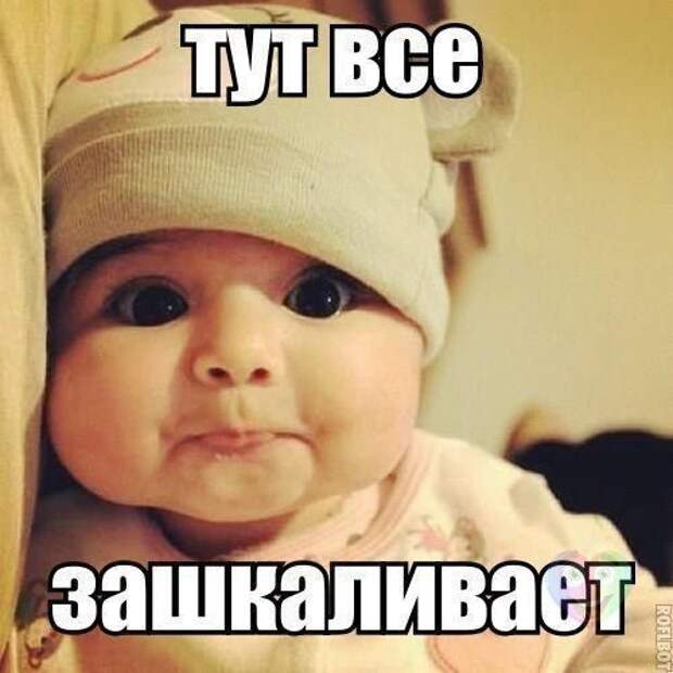 Картинки с забавными подписями