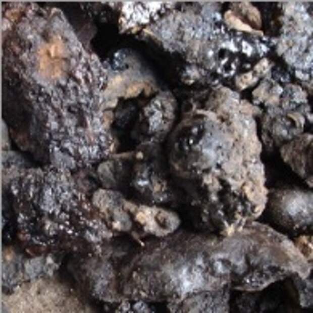 Shilajit