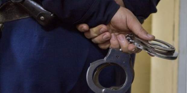 Муж депутата Елены Мошинской сознался в убийстве