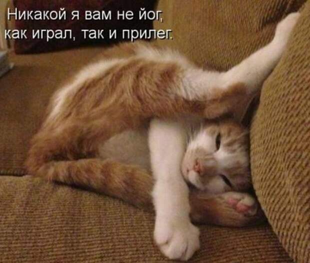 24d4857f60b8d77d046b09d093a_prev