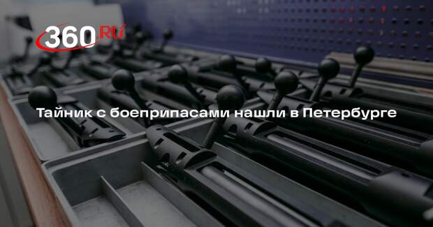 Полиция обнаружила тайник с боеприпасами в Приморском районе Санкт-Петербурга
