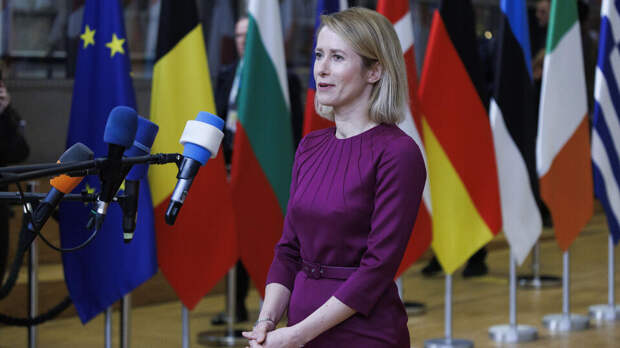 Посол Долгов назвал Каллас неотесанной из-за слов о нападении РФ на 19 стран