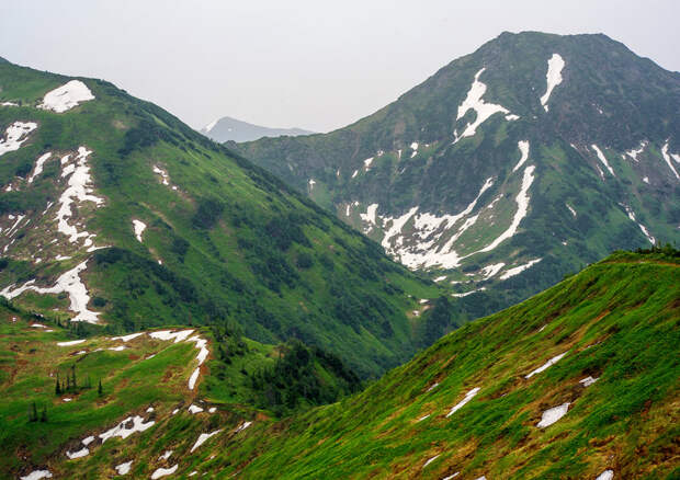 С.Пшонкин (4) С.Пшонкин (4)