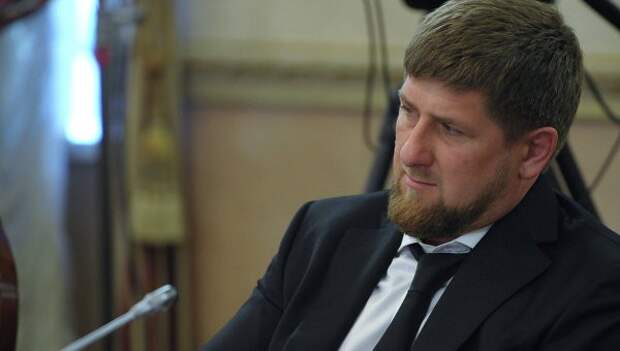 Кадыров рассчитывает, что ФРГ извинится за ущемление прав его лошади Кадыров рассчитывает, что ФРГ извинится за ущемление прав его лошади