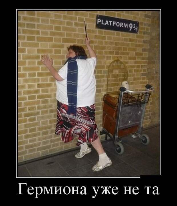 Демотиваторы