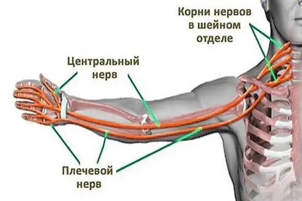 Почему немеет борода причины