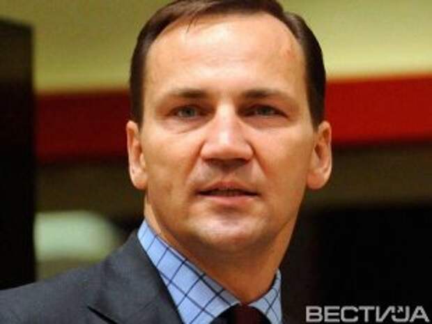 Сикорский предложил реанимировать план Маршалла для Украины