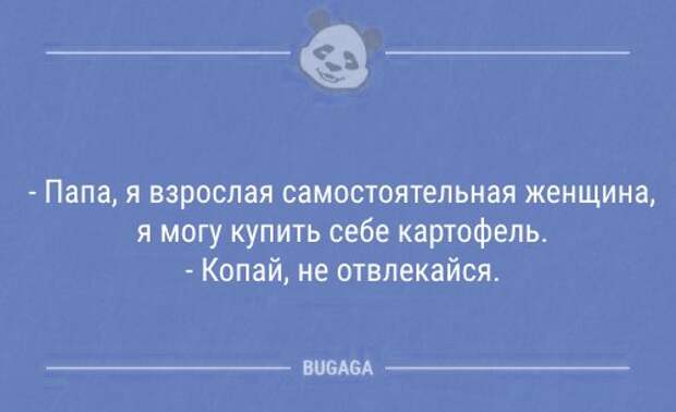 Анекдоты дня (6 шт)