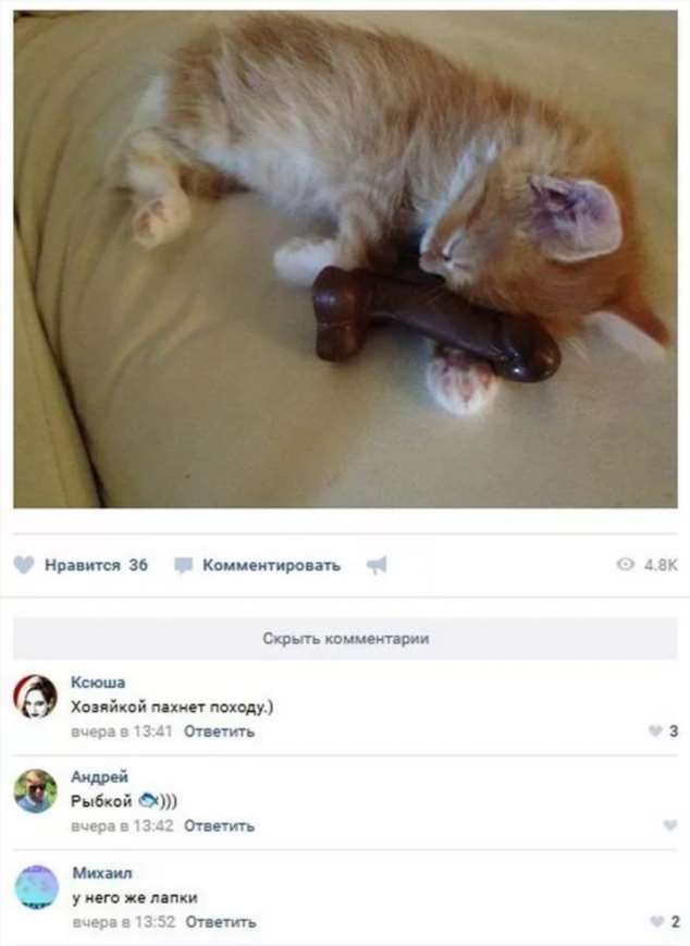 Смешные комментарии. Подборка chert-poberi-kom-chert-poberi-kom-22551017092020-15 картинка chert-poberi-kom-22551017092020-15