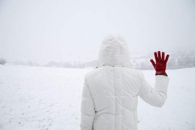 Фотография: Поэзия зимы №31 - BigPicture.ru