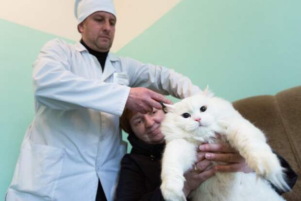 В Молжаниновском началась комплексная вакцинация животных