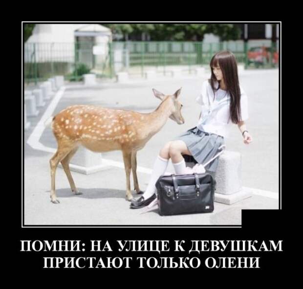 Демотиваторы (30 фото)