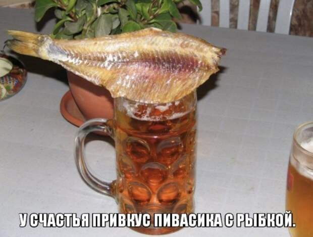 Горячие шутки о горячительном Горячие шутки о горячительном