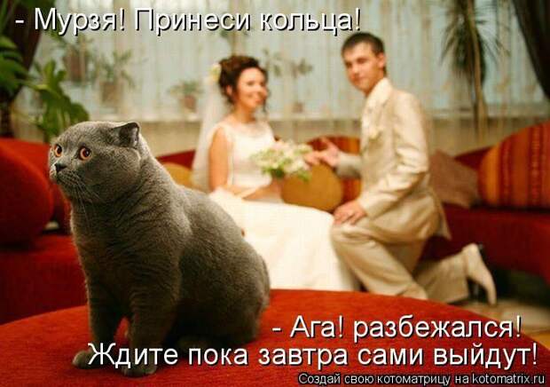 Мысли вслух :)