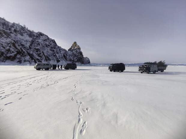 В диком режиме — дикие риски