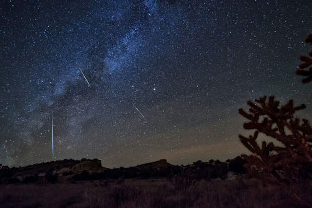 Астроном Рублева: москвичи увидят метеорные потоки Лириды весной