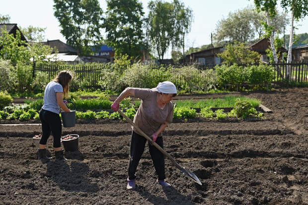 Россиян предупредили о сопутствующих началу дачного сезона опасных инфекциях