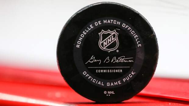 NHL hockey puck
