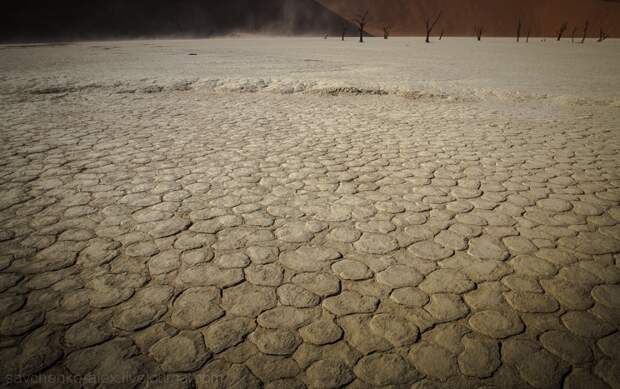 Африка. Намибия. Пустыня Намиб Соссусфлей Sossusvlei22 Африка. Намибия. Пустыня Намиб Соссусфлей