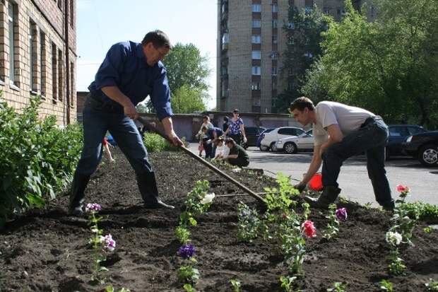 Мку благоустройство. Краснодар Озеленение города. МКУ благоустройство и Озеленение. Начнутся масштабные работы по озеленению. МКУ благоустройство и Озеленение Черепановых 9.