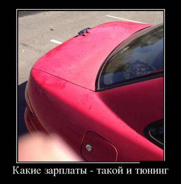 Весёлые и позитивные картинки 23.09.2013