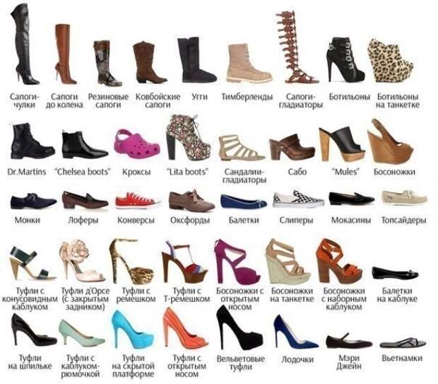 Энциклопедия женской обуви 0