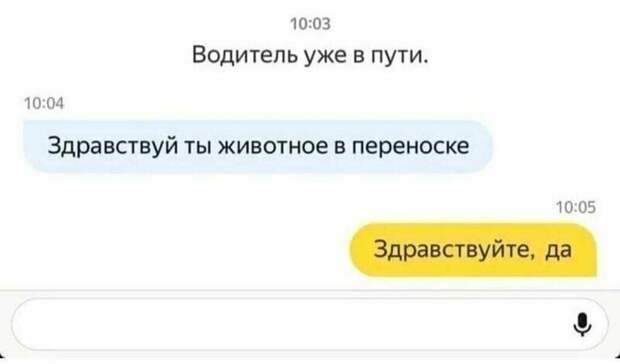 2. Все мы немножечко это животное в переноске 2. Все мы немножечко это животное в переноске