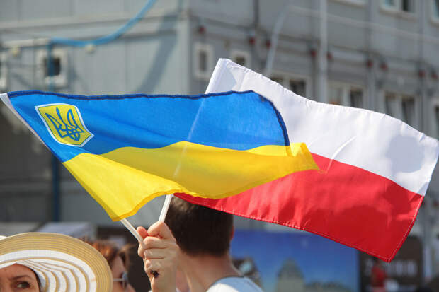 WirtualnaPolska: замминистра экономики Украины Качку возмутил польский чиновник