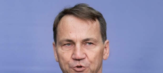 Сикорский рассказал о потраченных 200 млрд евро на агрессию Украины. «Соросёнок» Железняк выпрашивает новые транши на войну