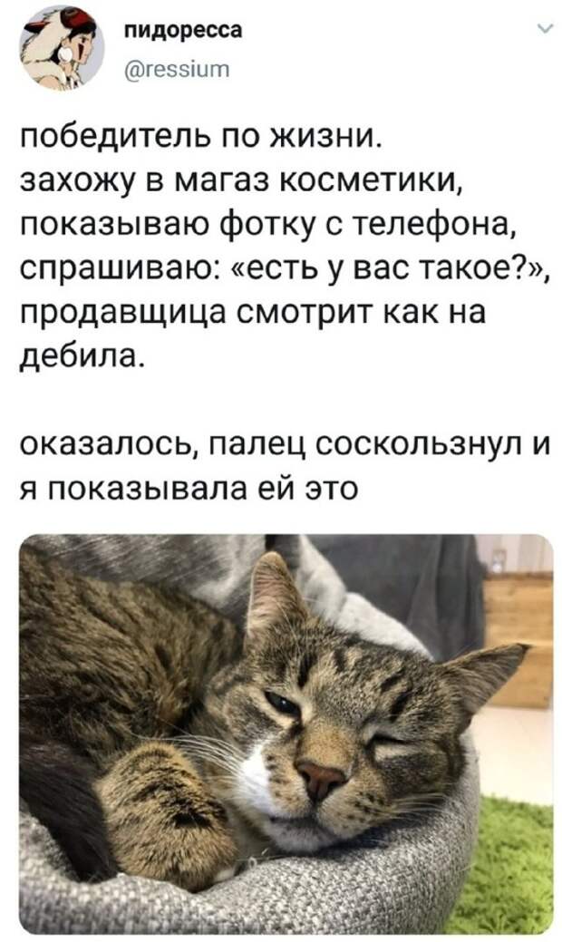 Шутки и высказывания из социальной сети (25 скриншотов)