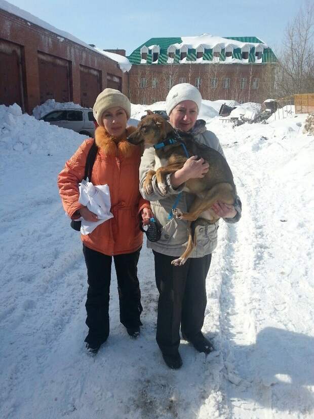 Все щенки разъехались по домам, а одного из них никто не хотел брать Все щенки разъехались по домам, а одного из них никто не хотел брать дворняга, собака, щенок