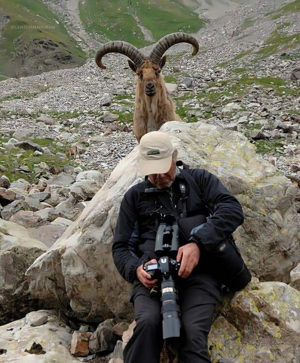 kartinok-veselyh-interesnyh-kartinki-smeshnye-kartinki-fotoprikoly