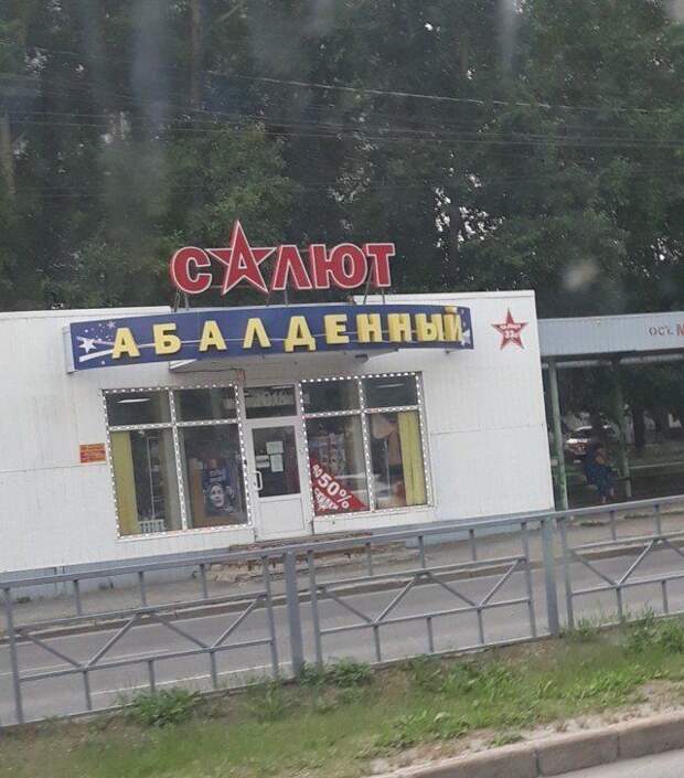 205562_15_trinixy_ru.jpg