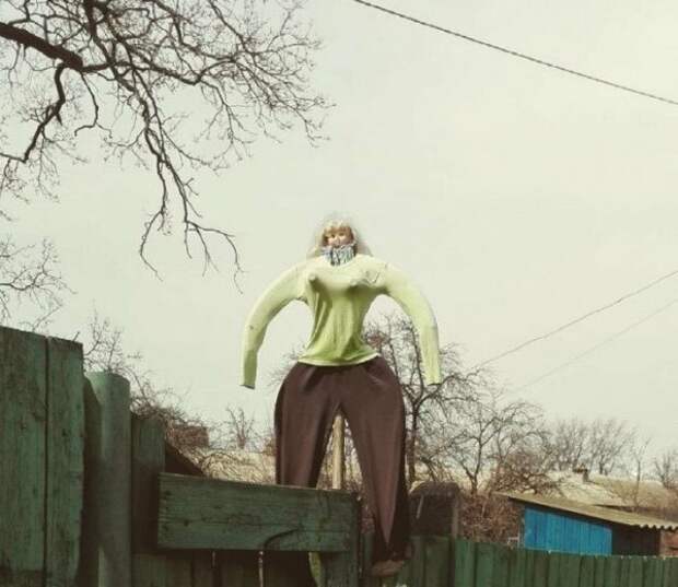 Приезжайте к нам в колхоз - куры, дуры и навоз