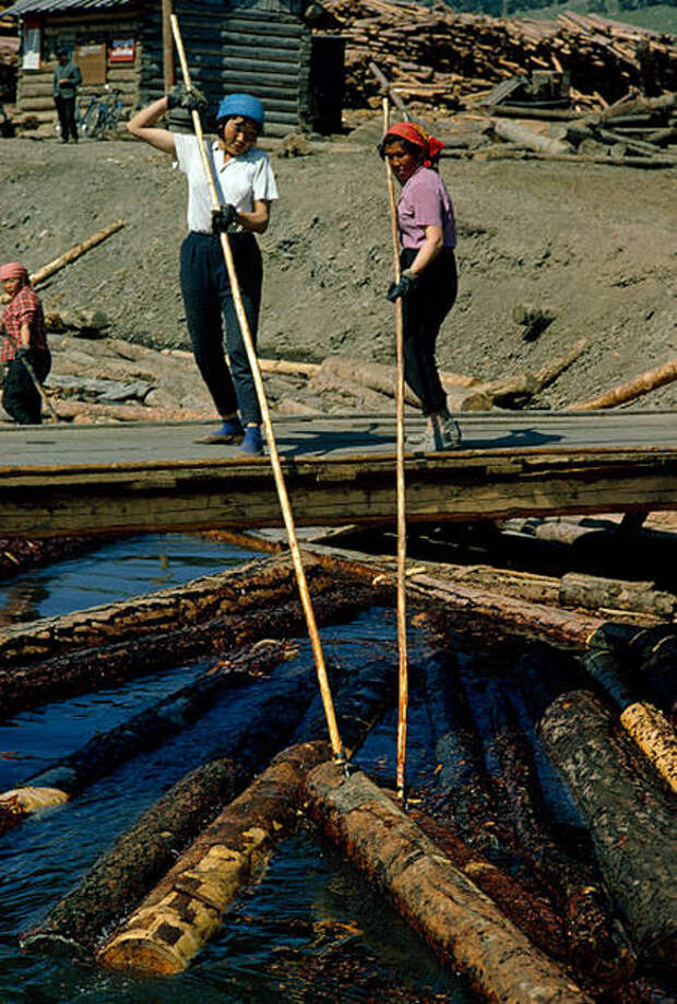 Женщины сортируют брёвна в каналах на лесоповале, озеро Байкал.