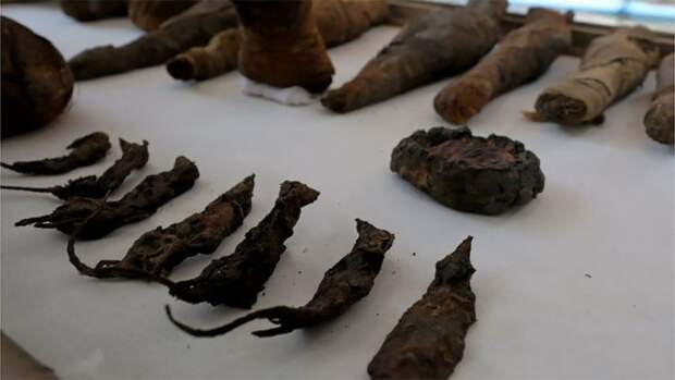 В египетской древней гробнице найдены мумифицированные мыши