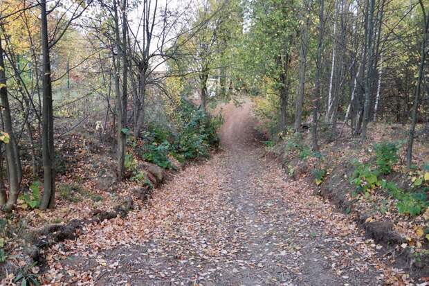 Тропа здоровья появилась в Ленинском парке Сарапула