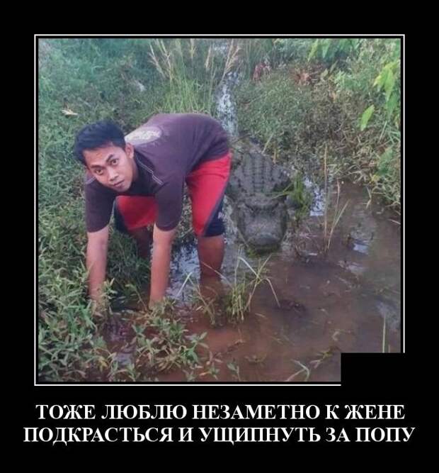 Демотиваторы (30 фото)