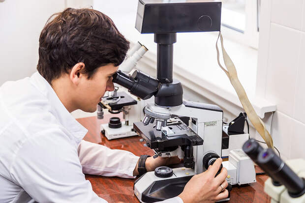 Более 20 тысяч новосибирцев 8 февраля отмечают День науки-2026