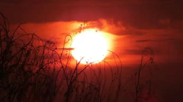 Аномально жаркое лето в Кузбассе спрогнозировал гидрометцентр России