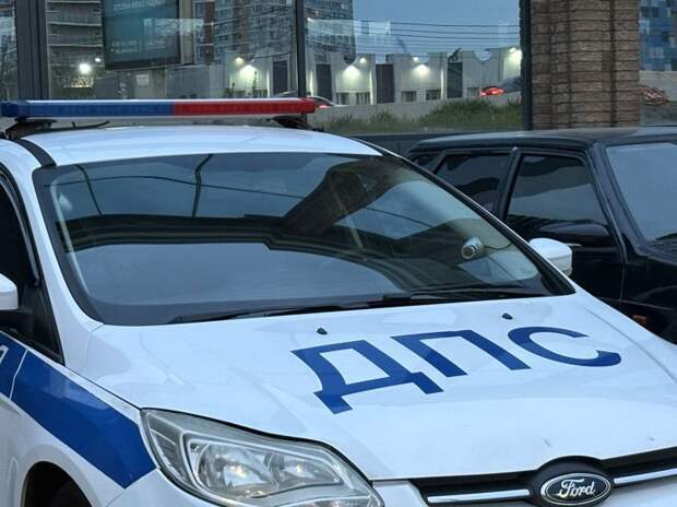 Без экзаменов и автошколы: на Кубани задержали водителя с “левыми” правами