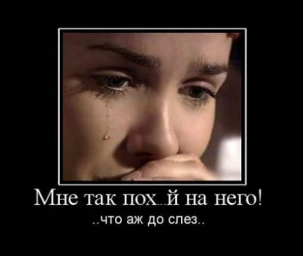 Демотиваторы это не только прикольные картинки но и ржачные фразы.
