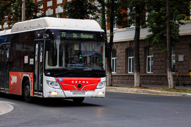 В Перми изменилась работа двух автобусных маршрутов
