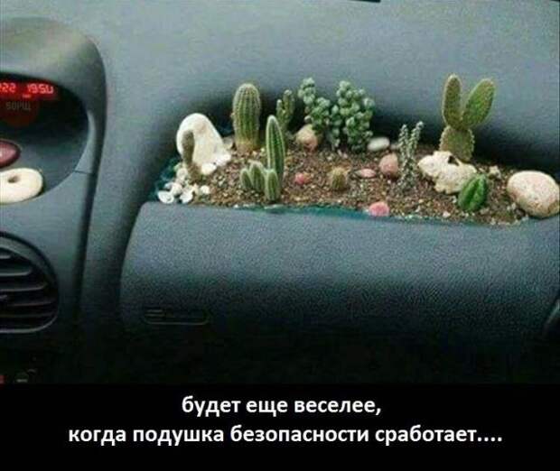 Забавные картинки и фото с надписью для настроения (10 фото) Забавные картинки и фото с надписью для настроения (10 фото)