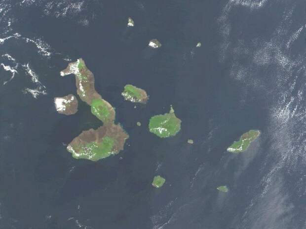 Необычные острова, фото - остров-морской конек