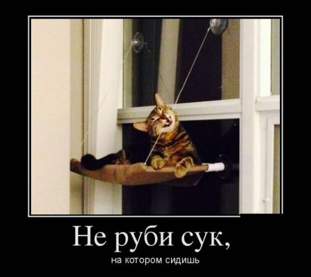 Обо всём.