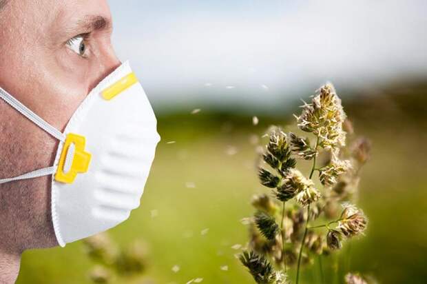 Поллиноз  или пыльцевая аллергия - симптомы и лечение